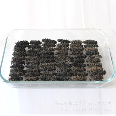 青島廠家特價(jià)批發(fā)進(jìn)口野生純淡干6排刺紅參 高品質(zhì)干制水產(chǎn)品的首選