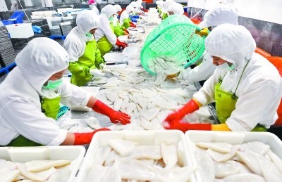 福建晉江水產(chǎn)加工出口快速增長(zhǎng)，加工貿(mào)易成發(fā)展新引擎